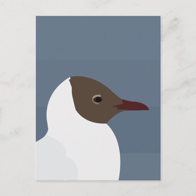 Carte Postale Mouette mouette mouette mouette mouette (Devant)