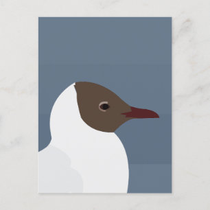 Carte Postale Mouette Oiseau Goéland Mouette