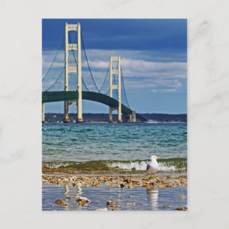 Carte Postale Mouette par le pont Mackinac