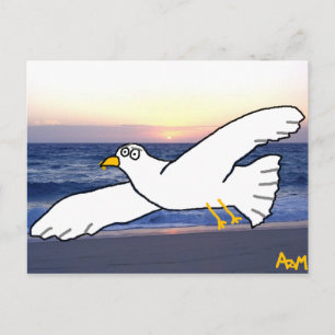 Carte Postale Mouette sur la baie