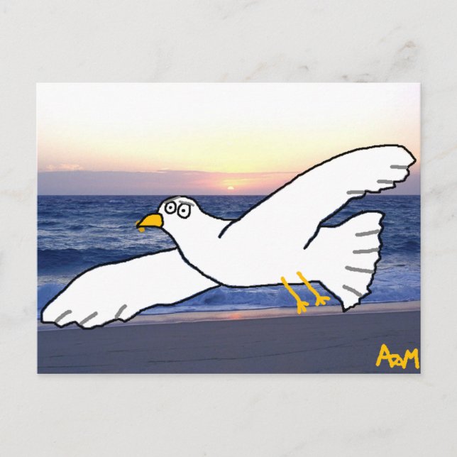 Carte Postale Mouette sur la baie (Devant)