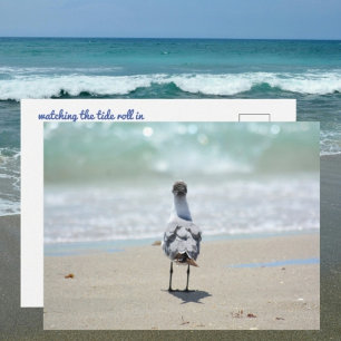 Carte Postale Mouette Zen sur la plage photographique