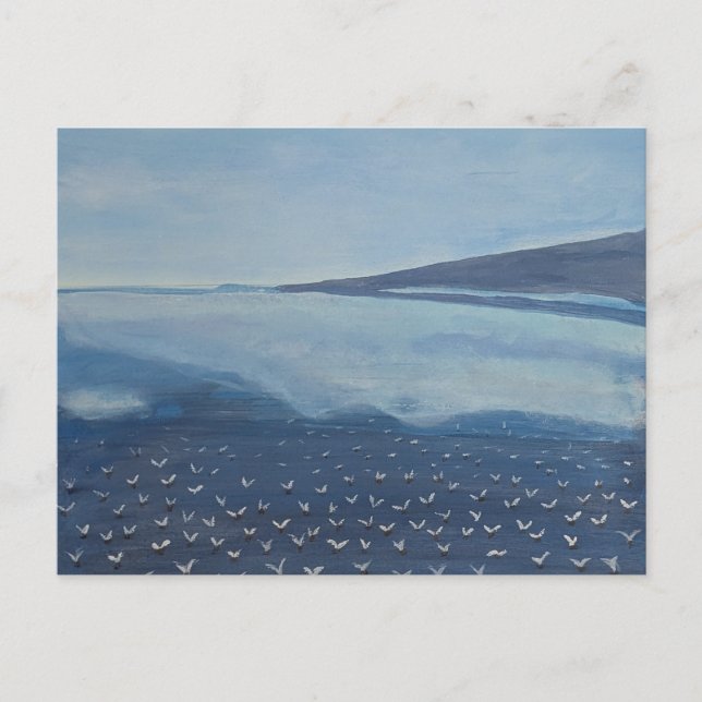 Carte Postale Mouettes (Devant)