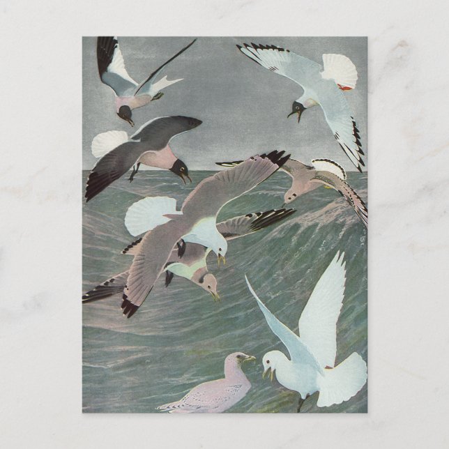 Carte Postale Mouettes au-dessus des vagues de l'océan par Louis (Devant)