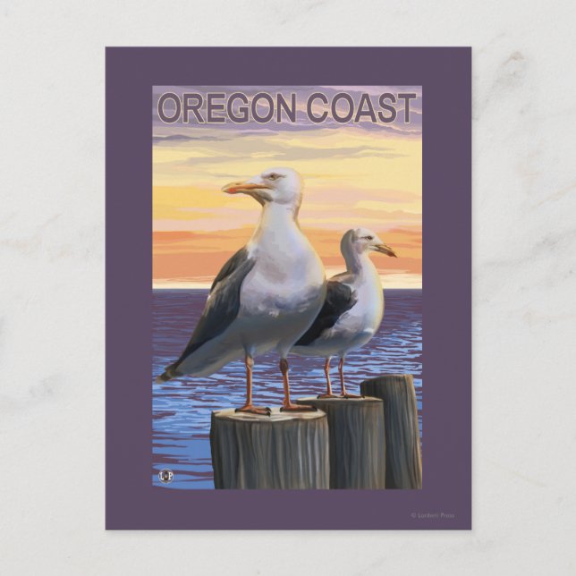 Carte Postale Mouettes de la mer de l'Oregon (Devant)