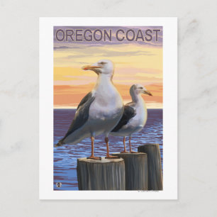 Carte Postale Mouettes de la mer de l'Oregon