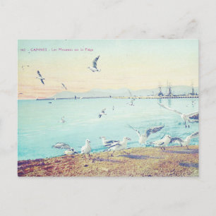 Carte Postale Mouettes de plage de Cannes