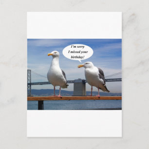 Carte Postale Mouettes parlant