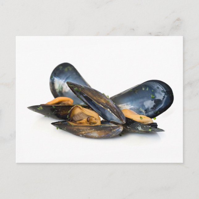 Carte Postale moules cuites sur blanc (Devant)