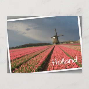 Carte Postale Moulin à vent avec tulipe rose au printemps