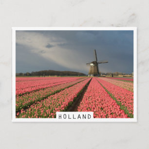 Carte Postale Moulin à vent avec tulipe rose au printemps