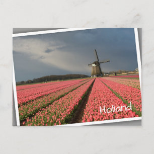 Carte Postale Moulin à vent avec tulipe rose au printemps