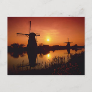 Carte Postale Moulins à vent au coucher du soleil, Kinderdijk, P