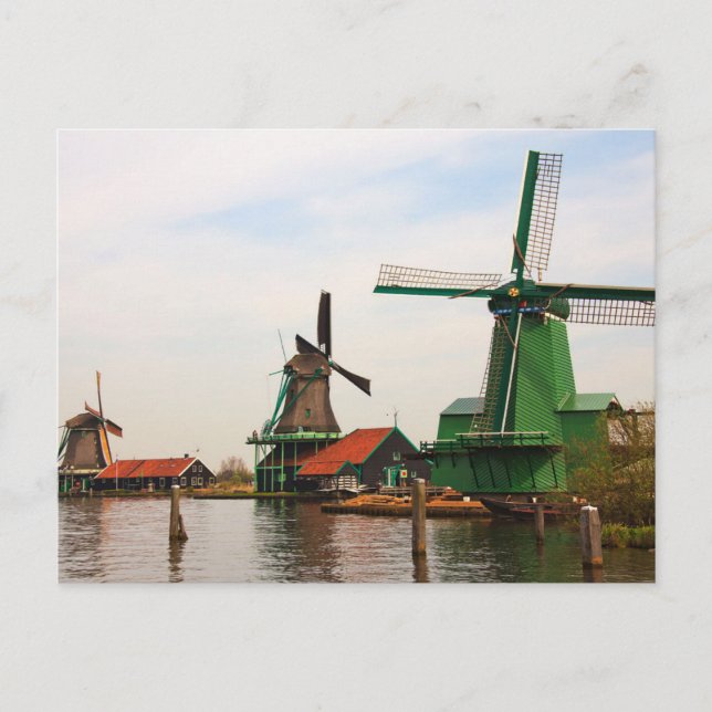 Carte Postale Moulins à vent hollandais, Zaanse Schans. (Devant)