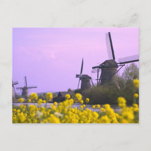 Carte Postale Moulins à vent le long du canal à Kinderdijk,