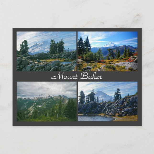 Carte postale Mount Baker (Devant)