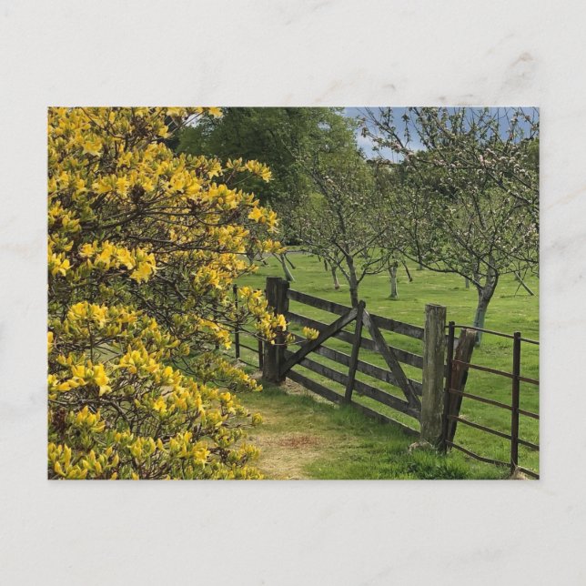 Carte Postale Mount Stuart Orchard & Gate Isle of Bute, Écosse (Devant)