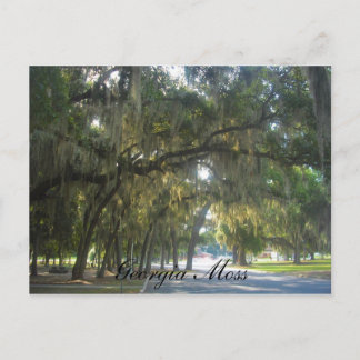 Carte Postale Mousse de la Géorgie