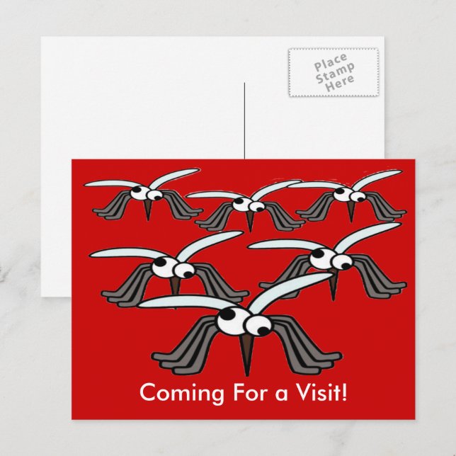 Carte Postale Moustiques amusants Volant Venant pour une visite (Devant / Derrière)
