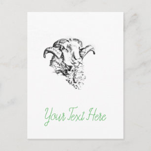 Carte Postale Mouton Bélier Funky Mignon