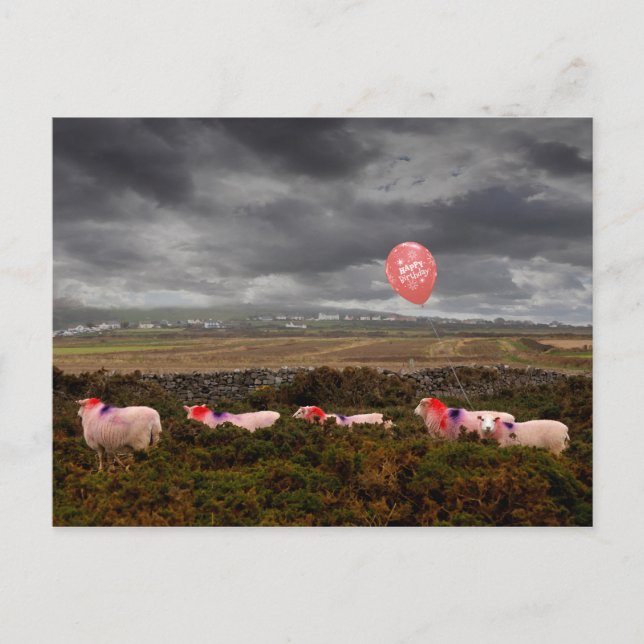 Carte Postale Mouton d'anniversaire (Devant)