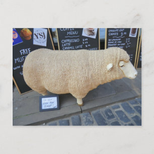 Carte Postale Mouton de rue
