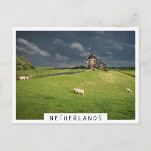 Carte Postale Moutons avec moulins à vent sous des nuages sombre