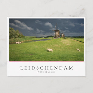 Carte Postale Moutons avec moulins à vent sous des nuages sombre