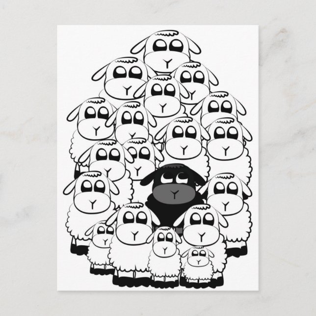 Carte Postale Moutons noirs (Devant)