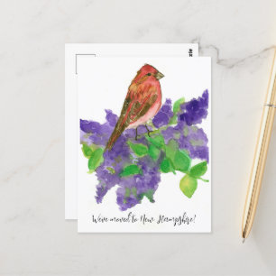 Carte Postale Moving Faire-part New Hampshire Finch Lilac