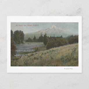 Carte Postale Mt Hood, Oregon - Vue de la montagne depuis Hood