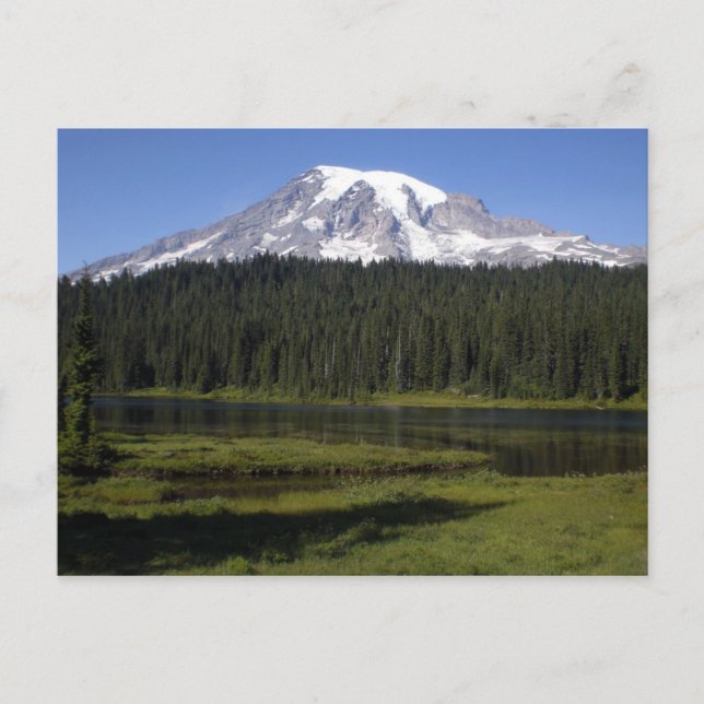 Carte Postale Mt. Rainer (Devant)