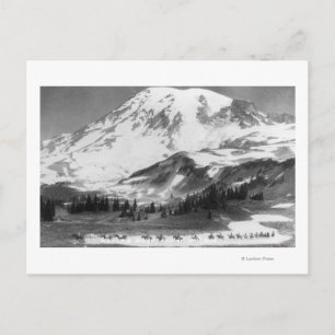 Carte Postale Mt Rainier, WA Traversant la crête Mazama à cheval
