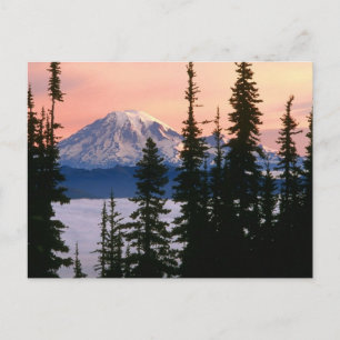 Carte Postale Mt. Ranier, Washington
