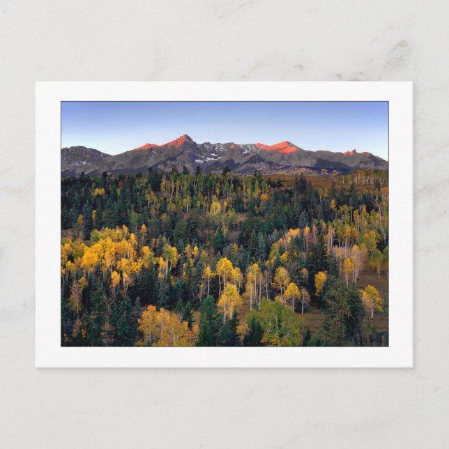 Carte Postale "Mt. Sneffel - Dallas Divide Road" (Devant)