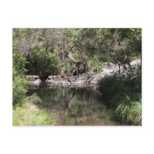Mt Tamborine #3