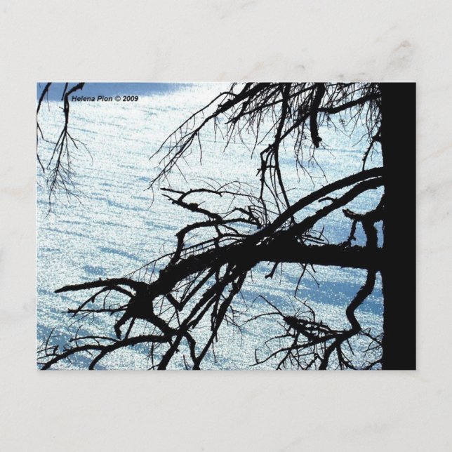 CARTE POSTALE MTV 9 (Devant)