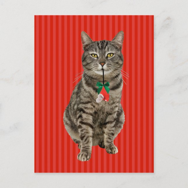 Carte postale "Muffin Digs Christmas" (Devant)