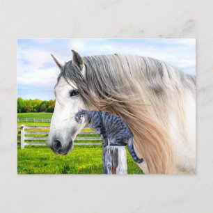 Carte Postale "Muffin & Saraband" 