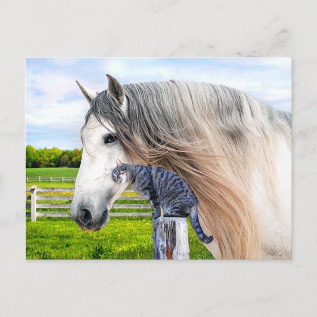 Carte Postale "Muffin & Saraband" (Devant)