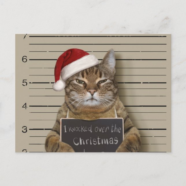 Carte Postale Mugshot Cat Christmas (Devant)