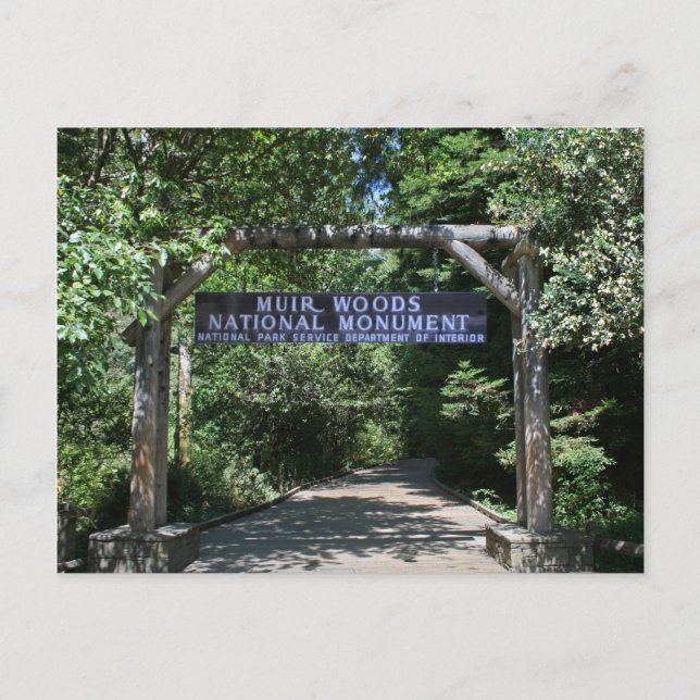 Carte postale Muir Woods (Devant)