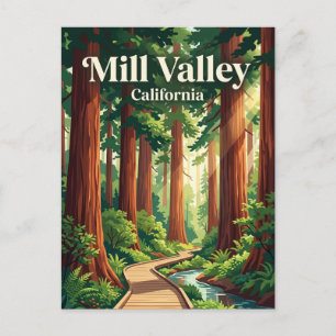 Carte Postale Muir Woods National Monument États-Unis
