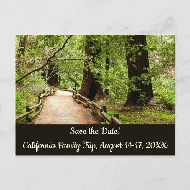 Carte Postale Muir Woods Path II Nature Sauver la date (Devant)