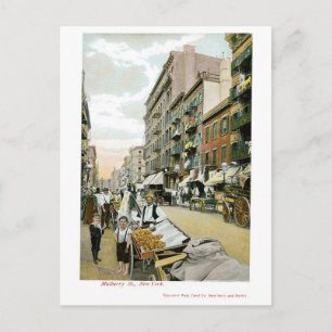 Carte Postale Mulberry St., New York
