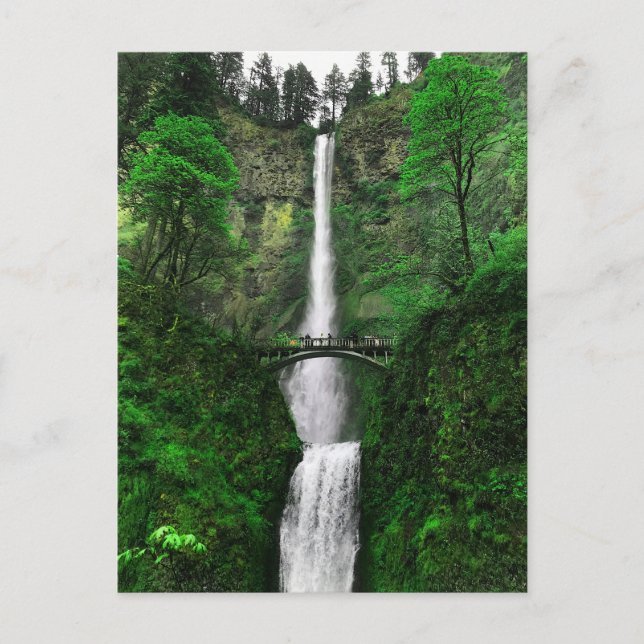 Carte postale Multnomah Falls #2-2 (Devant)