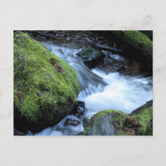 Carte postale Munson Creek