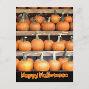 Carte Postale Mur Citrouille d'Halloween