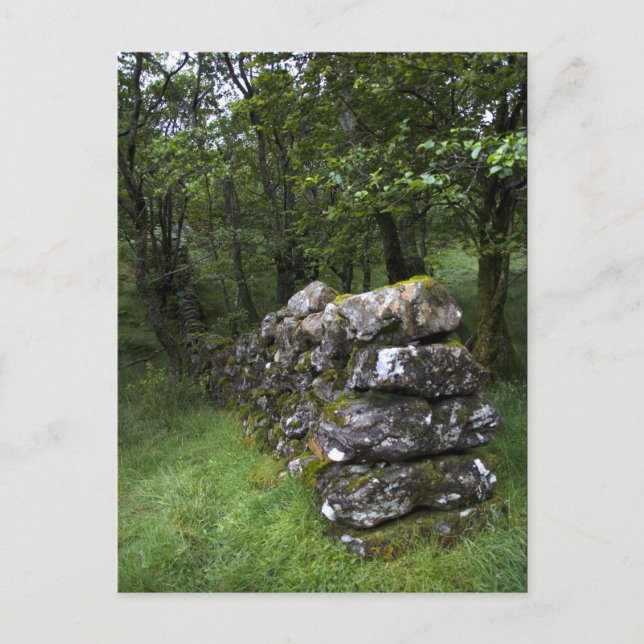 Carte postale murale Drystone (Devant)