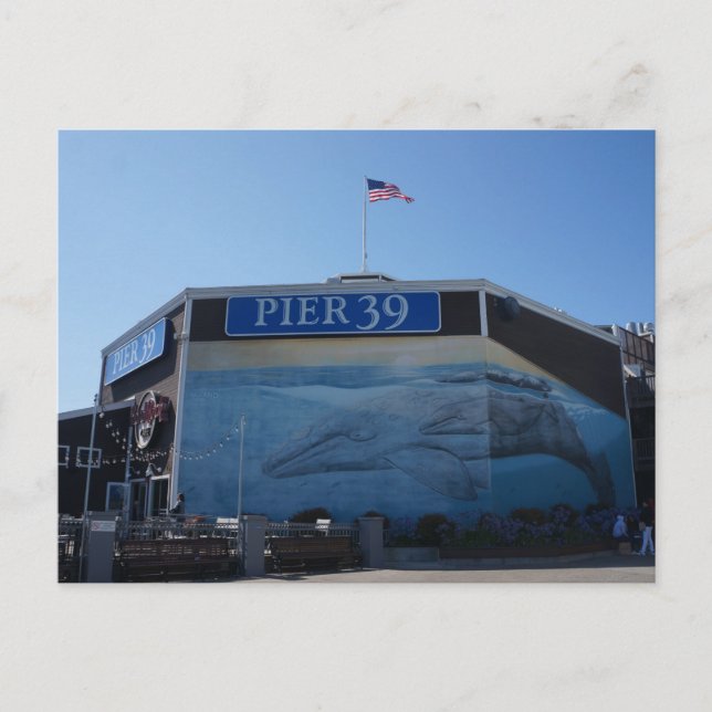 Carte postale murale San Francisco Pier 39 Whale (Devant)